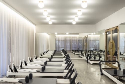 section-the-wellness-guide